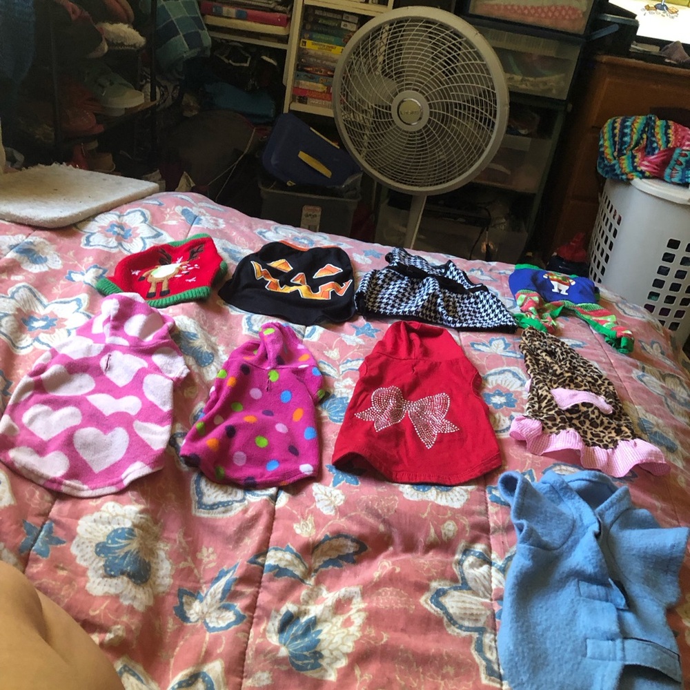 Doggie clothes